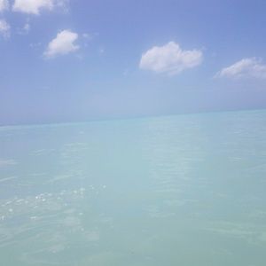 Meet your Posher, Chakell